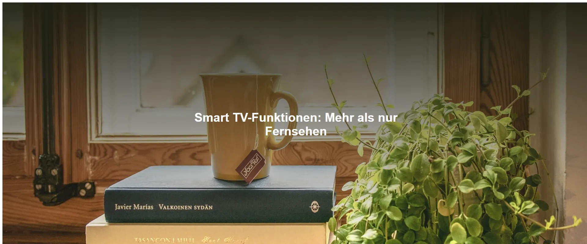 Smart TV-Funktionen: Mehr als nur Fernsehen