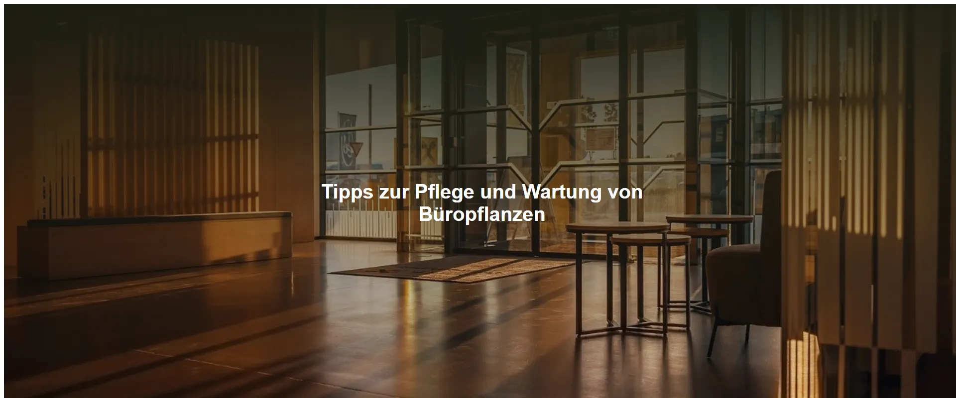 Tipps zur Pflege und Wartung von Büropflanzen